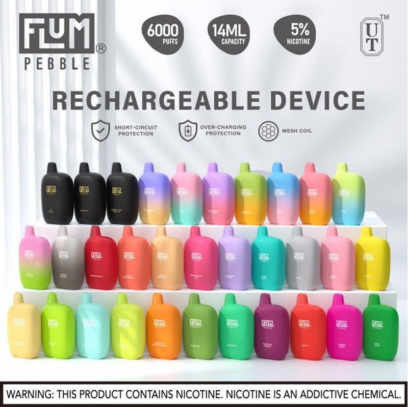 FLUM PEBBLE DISPOSABLES | 6000 PUFFS flum pebble flavors  Vape Land